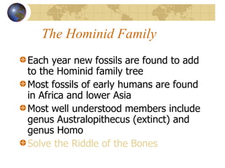 The Hominid Family Each year new fossils are found to add to the Hominid family tree Most fossils of early humans are found in Africa and lower Asia Most well understood members include genus Australopithecus (extinct) and genus Homo Solve the Riddle of the Bones 