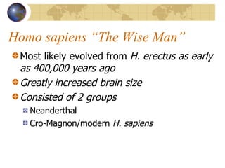 Homo sapiens “The Wise Man” Most likely evolved from  H. erectus as early as 400,000 years ago Greatly increased brain size Consisted of 2 groups Neanderthal Cro-Magnon/modern  H. sapiens 
