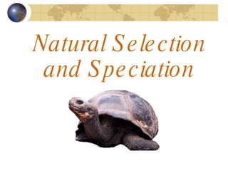 Natural Selection and Speciation 