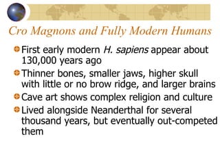 Cro Magnons and Fully Modern Humans First early modern  H. sapiens  appear about 130,000 years ago Thinner bones, smaller jaws, higher skull with little or no brow ridge, and larger brains Cave art shows complex religion and culture Lived alongside Neanderthal for several thousand years, but eventually out-competed them 