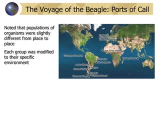 The Voyage of the Beagle: Ports of Call Noted that populations of organisms were slightly different from place to place Each group was modified to their specific environment 