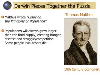 Malthus wrote  “Essay on  the Principles of Population” Populations will always grow larger than the food supply, creating hunger, disease and struggle/competition.  Some people live, others die. Darwin Pieces Together the Puzzle Thomas Malthus 18th Century Economist 