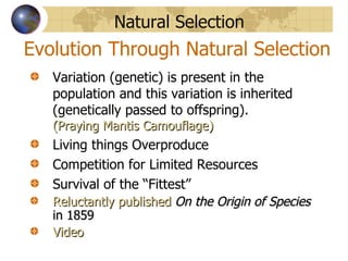 Evolution Through Natural Selection Variation (genetic) is present in the population and this variation is inherited (genetically passed to offspring).   (Praying Mantis Camouflage) Living things Overproduce Competition for Limited Resources Survival of the “Fittest” Reluctantly published  On the Origin of Species  in 1859 Video Natural Selection 