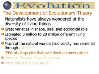 The Development of Evolutionary Theory Naturalists have always wondered at the diversity of living things……… Great varieties in shape, size, and ecological role Estimated 3 million to 20 million different living species Much of the natural world’s biodiversity has vanished through  extinction 99% of all species that ever lived are now extinct Permian-Triassic Mass Extinction What Killed the Dinosaurs? Evolution 