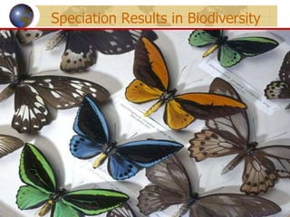 Speciation Results in Biodiversity 