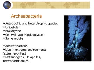 Archaebacteria Autotrophic and heterotrophic species Unicellular Prokaryotic Cell wall w/o Peptidoglycan Some mobile Ancient bacteria Live in extreme environments (extremeophiles) Methanogens, Halophiles, Thermoacidophiles 