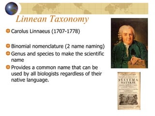 Linnean Taxonomy Carolus Linnaeus (1707-1778) Binomial nomenclature (2 name naming) Genus and species to make the scientific name Provides a common name that can be used by all biologists regardless of their native language.  