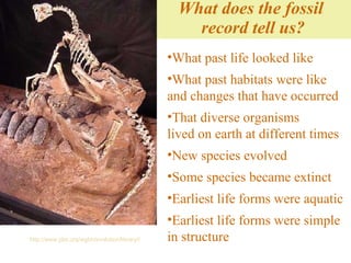 What does the fossil  record tell us? http://www.pbs.org/wgbh/evolution/library/04/3/quicktime/l_043_01.html   What past life looked like What past habitats were like and changes that have occurred That diverse organisms  lived on earth at different times New species evolved Some species became extinct Earliest life forms were aquatic Earliest life forms were simple in structure 