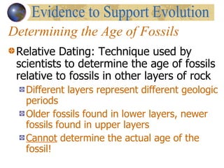Determining the Age of Fossils Relative Dating: Technique used by scientists to determine the age of fossils relative to fossils in other layers of rock Different layers represent different geologic periods  Older fossils found in lower layers, newer fossils found in upper layers Cannot  determine the actual age of the fossil! Evidence to Support Evolution 