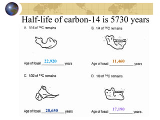 Half-life of carbon-14 is 5730 years 22,920 11,460 28,650 17,190 