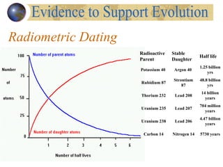 Radiometric Dating Evidence to Support Evolution Radioactive Parent Stable Daughter Half life Potassium 40  Argon 40  1.25 billion yrs Rubidium 87 Strontium 87 48.8 billion yrs Thorium 232 Lead 208 14 billion years Uranium 235 Lead 207 704 million years Uranium 238 Lead 206 4.47 billion years Carbon 14 Nitrogen 14 5730 years 