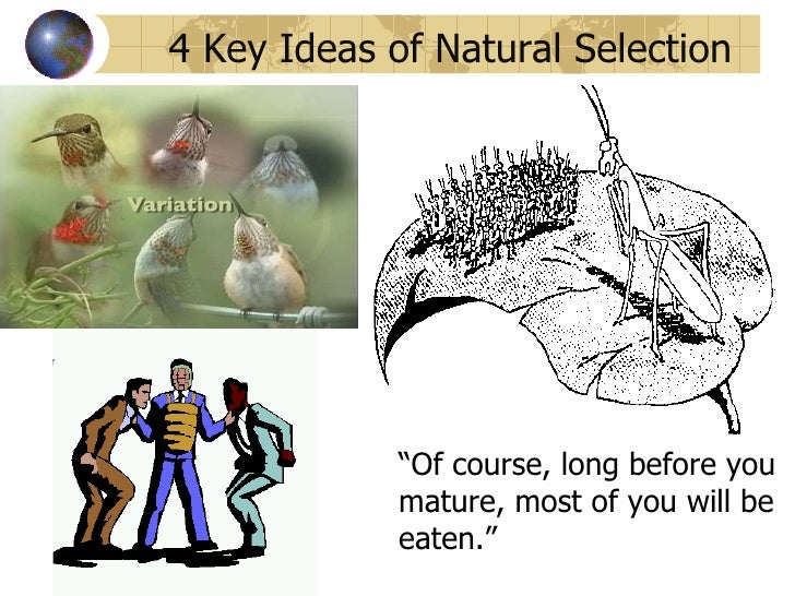 Tenets Of Evolution By Natural Selection Tenets Of Evolution By Natural Selection