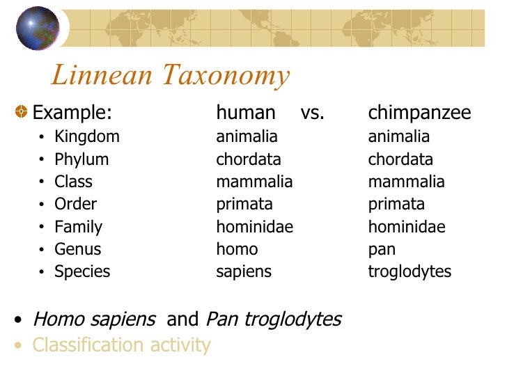 Scientific Evidence Of Natural Selection Scientific Evidence Of Natural Selection