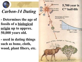 5,700 year is
                           C14 half-life
Carbon-14 Dating
- Determines the age of
fossils of a biological
origin up to approx.
50,000 years old.
- used in dating things
such as bone, cloth,
wood, plant fibers, etc.
 