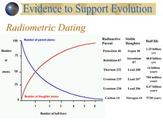 Radiometric Dating
                     Radioactive    Stable
                                                  Half life
                     Parent         Daughter
                                                  1.25 billion
                     Potassium 40   Argon 40
                                                      yrs
                                    Strontium     48.8 billion
                     Rubidium 87
                                        87            yrs
                                                  14 billion
                     Thorium 232     Lead 208
                                                    years
                                                  704 million
                     Uranium 235     Lead 207
                                                    years
                                                  4.47 billion
                     Uranium 238     Lead 206
                                                     years

                      Carbon 14     Nitrogen 14   5730 years
 