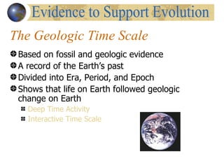 The Geologic Time Scale
 Based on fossil and geologic evidence
 A record of the Earth’s past
 Divided into Era, Period, and Epoch
 Shows that life on Earth followed geologic
 change on Earth
   Deep Time Activity
   Interactive Time Scale
 