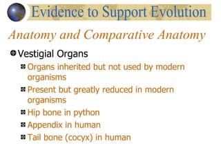 Anatomy and Comparative Anatomy
 Vestigial Organs
   Organs inherited but not used by modern
   organisms
   Present but greatly reduced in modern
   organisms
   Hip bone in python
   Appendix in human
   Tail bone (cocyx) in human
 