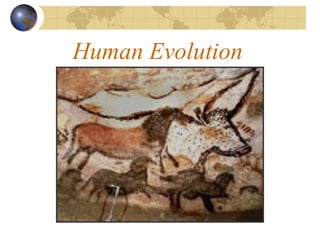 Human Evolution
 