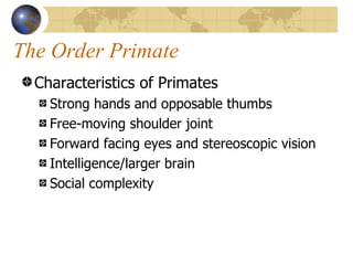 The Order Primate
  Characteristics of Primates
    Strong hands and opposable thumbs
    Free-moving shoulder joint
    Forward facing eyes and stereoscopic vision
    Intelligence/larger brain
    Social complexity
 