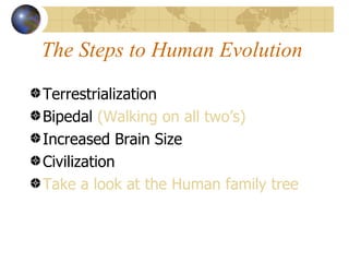 The Steps to Human Evolution

Terrestrialization
Bipedal (Walking on all two’s)
Increased Brain Size
Civilization
Take a look at the Human family tree
 