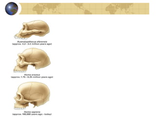 Evolution natural selection_and_speciation most current file