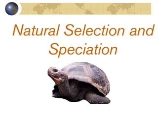 Natural Selection and
     Speciation
 