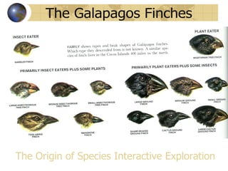 The Origin of Species Interactive Exploration
 
