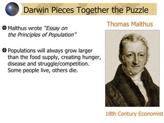 Darwin Pieces Together the Puzzle
                                         Thomas Malthus
Malthus wrote “Essay on
the Principles of Population”

Populations will always grow larger
than the food supply, creating hunger,
disease and struggle/competition.
Some people live, others die.




                                         18th Century Economist
 