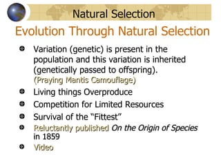 Natural Selection
Evolution Through Natural Selection
   Variation (genetic) is present in the
   population and this variation is inherited
   (genetically passed to offspring).
   (Praying Mantis Camouflage)
   Living things Overproduce
   Competition for Limited Resources
   Survival of the “Fittest”
   Reluctantly published On the Origin of Species
   in 1859
   Video
 