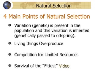 Natural Selection

4 Main Points of Natural Selection
    Variation (genetic) is present in the
    population and this variation is inherited
    (genetically passed to offspring).
    Living things Overproduce

    Competition for Limited Resources

    Survival of the “Fittest” Video
 