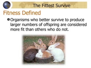 The Fittest Survive
Fitness Defined
  Organisms who better survive to produce
  larger numbers of offspring are considered
  more fit than others who do not.
 