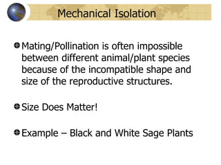 Mechanical Isolation

Mating/Pollination is often impossible
between different animal/plant species
because of the incompatible shape and
size of the reproductive structures.

Size Does Matter!

Example – Black and White Sage Plants
 