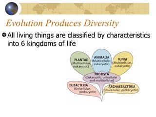 Evolution Produces Diversity
All living things are classified by characteristics
into 6 kingdoms of life
 