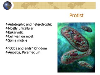 Protist
Autotrophic and heterotrophic
Mostly unicellular
Eukaryotic
Cell wall on most
Some mobile

“Odds and ends” Kingdom
Amoeba, Paramecium
 