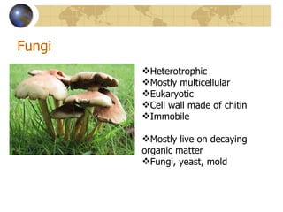 Fungi
        Heterotrophic
        Mostly multicellular
        Eukaryotic
        Cell wall made of chitin
        Immobile

        Mostly live on decaying
        organic matter
        Fungi, yeast, mold
 