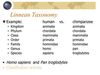 Linnean Taxonomy
 Example:            human       vs.   chimpanzee
  •   Kingdom        animalia          animalia
  •   Phylum         chordata          chordata
  •   Class          mammalia          mammalia
  •   Order          primata           primata
  •   Family         hominidae         hominidae
  •   Genus          homo              pan
  •   Species        sapiens           troglodytes

• Homo sapiens and Pan troglodytes
• Classification activity
 
