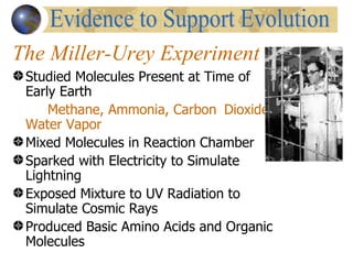The Miller-Urey Experiment
 Studied Molecules Present at Time of
 Early Earth
     Methane, Ammonia, Carbon Dioxide,
 Water Vapor
 Mixed Molecules in Reaction Chamber
 Sparked with Electricity to Simulate
 Lightning
 Exposed Mixture to UV Radiation to
 Simulate Cosmic Rays
 Produced Basic Amino Acids and Organic
 Molecules
 