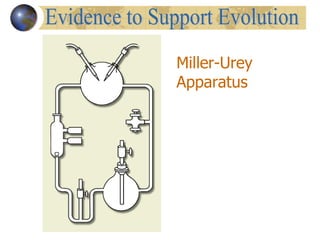 Miller-Urey
Apparatus
 