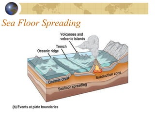 Sea Floor Spreading
 