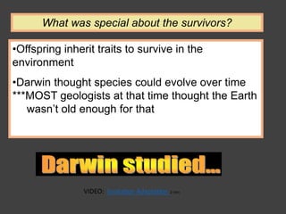 •Offspring inherit traits to survive in the
environment
•Darwin thought species could evolve over time
***MOST geologists at that time thought the Earth
wasn’t old enough for that
What was special about the survivors?
VIDEO: Evolution Adaptation 2 min
 