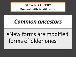 Common ancestors
•New forms are modified
forms of older ones
DARWIN’S THEORY:
Descent with Modification
 