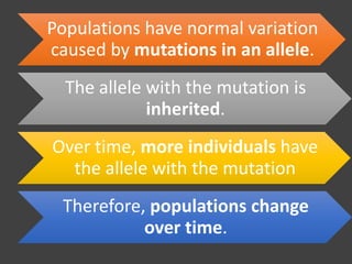 Populations have normal variation
caused by mutations in an allele.
The allele with the mutation is
inherited.
Over time, more individuals have
the allele with the mutation
Therefore, populations change
over time.
 