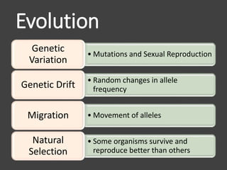 Evolution
• Mutations and Sexual Reproduction
Genetic
Variation
• Random changes in allele
frequencyGenetic Drift
• Movement of allelesMigration
• Some organisms survive and
reproduce better than others
Natural
Selection
 