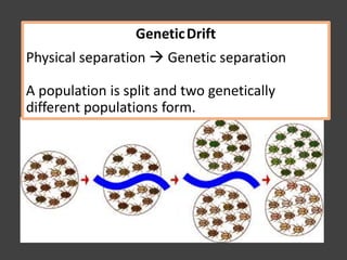 GeneticDrift
Physical separation  Genetic separation
A population is split and two genetically
different populations form.
 
