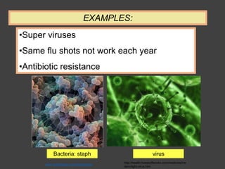 •Super viruses
•Same flu shots not work each year
•Antibiotic resistance
EXAMPLES:
virusBacteria: staph
www.healthheap.com/tag/bacteria
http://health.howstuffworks.com/medicine/mo
dern/light-virus.htm
 
