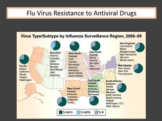 Flu Virus Resistance to Antiviral Drugs
 