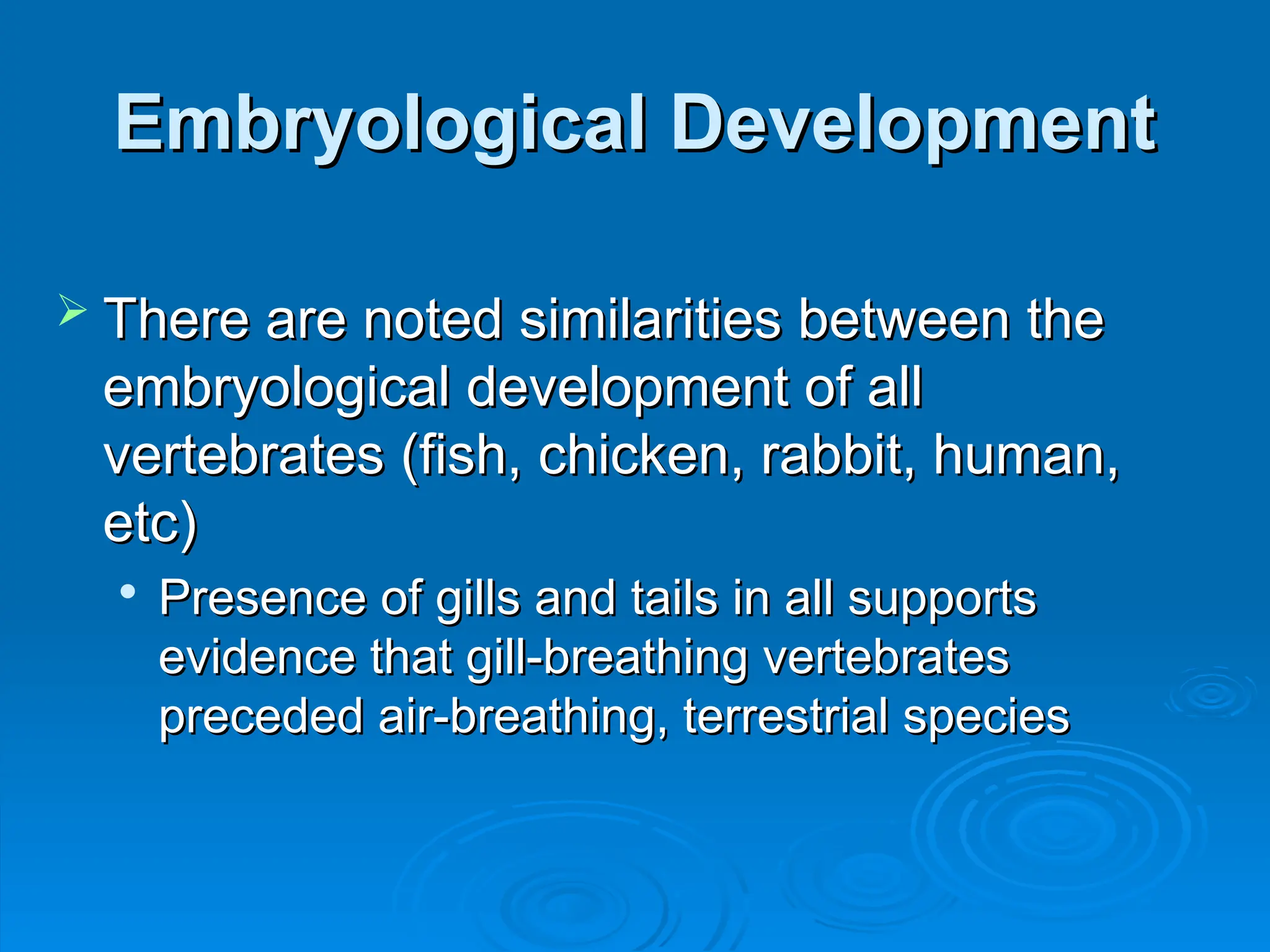 Embryological Development
Embryological Development
 There are noted similarities between the
There are noted similarities between the
embryological development of all
embryological development of all
vertebrates (fish, chicken, rabbit, human,
vertebrates (fish, chicken, rabbit, human,
etc)
etc)

Presence of gills and tails in all supports
Presence of gills and tails in all supports
evidence that gill-breathing vertebrates
evidence that gill-breathing vertebrates
preceded air-breathing, terrestrial species
preceded air-breathing, terrestrial species
 