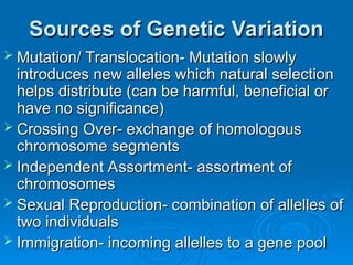 Sources of Genetic Variation
Sources of Genetic Variation
 Mutation/ Translocation- Mutation slowly
Mutation/ Translocation- Mutation slowly
introduces new alleles which natural selection
introduces new alleles which natural selection
helps distribute (can be harmful, beneficial or
helps distribute (can be harmful, beneficial or
have no significance)
have no significance)
 Crossing Over- exchange of homologous
Crossing Over- exchange of homologous
chromosome segments
chromosome segments
 Independent Assortment- assortment of
Independent Assortment- assortment of
chromosomes
chromosomes
 Sexual Reproduction- combination of allelles of
Sexual Reproduction- combination of allelles of
two individuals
two individuals
 Immigration- incoming allelles to a gene pool
Immigration- incoming allelles to a gene pool
 