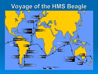 Voyage of the HMS Beagle
Voyage of the HMS Beagle
 