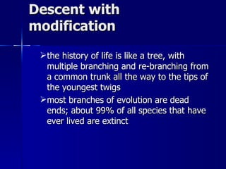 Descent with
modification
 the history of life is like a tree, with
  multiple branching and re-branching from
  a common trunk all the way to the tips of
  the youngest twigs
 most branches of evolution are dead
  ends; about 99% of all species that have
  ever lived are extinct
 
